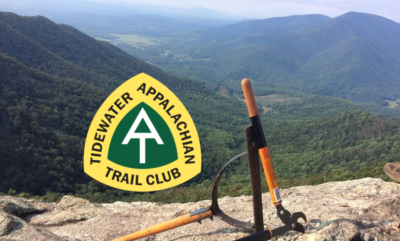 One-time Single Membership Renewal for Expired TATC Members