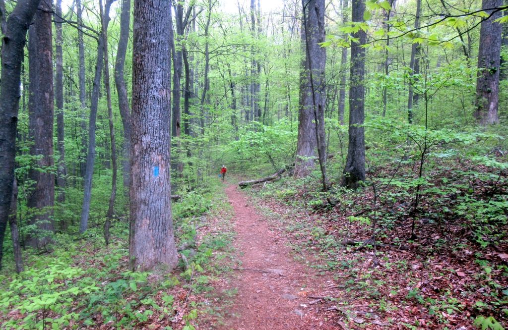 BOD Photo Lead - April_2024_AA-mal sherando 7