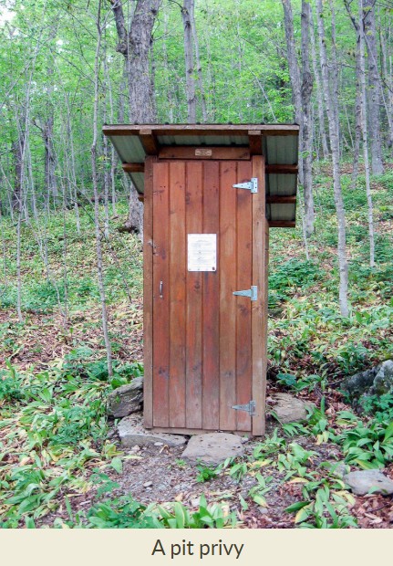 Moldering Toilets and Pit Privies