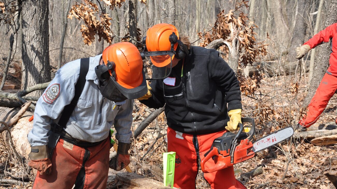 Crosscut Saw and Chainsaw Certifications